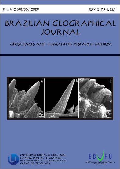 					View Vol. 4 No. 2 (2013): Brazilian Geographical Journal: Geosciences and Humanities research medium
				