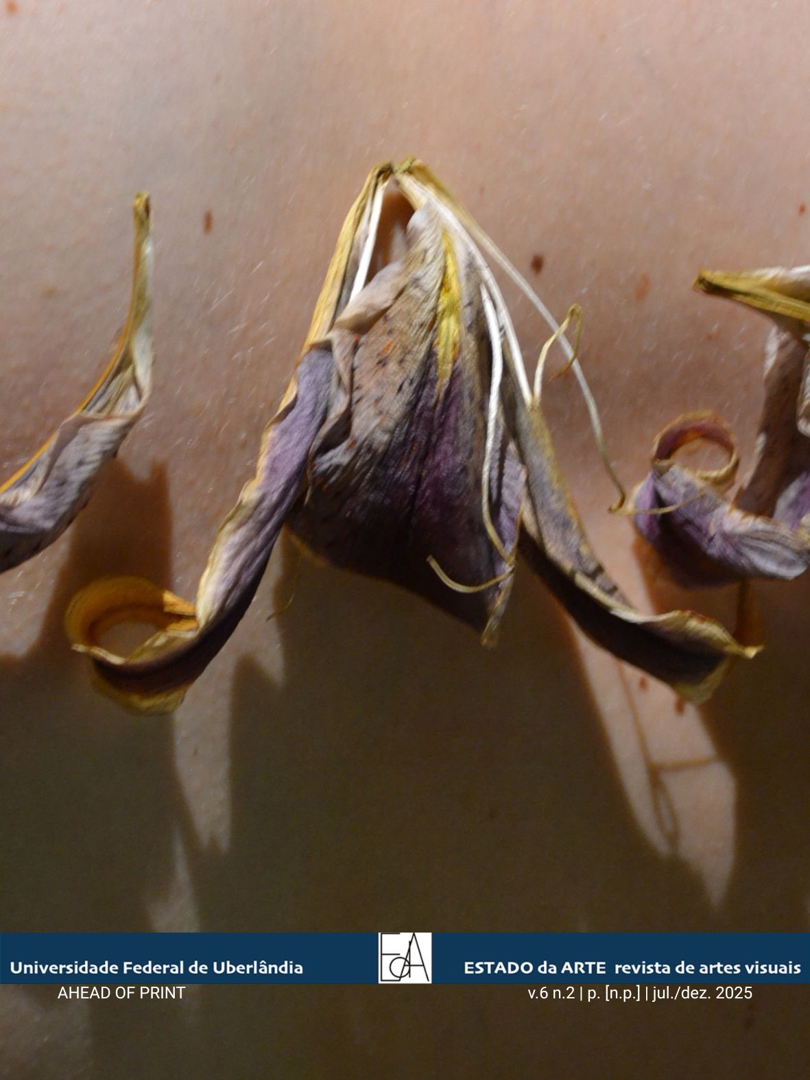 Capa com imagem de autoria de Nikoleta Kerinska, mostra fragmento de elemento vegetal sobre torax humano